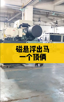 磁懸浮出馬，一個(gè)頂倆！